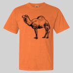 Garment Dyed Heavyweight Ringspun Resort Tee Thumbnail