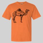 Garment Dyed Heavyweight Ringspun Resort Tee Thumbnail