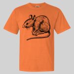 Garment Dyed Heavyweight Ringspun Resort Tee Thumbnail