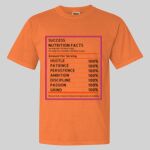 Garment Dyed Heavyweight Ringspun Resort Tee Thumbnail