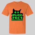 Garment Dyed Heavyweight Ringspun Resort Tee Thumbnail