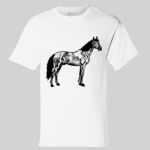 Short Sleeve T-Shirt Thumbnail