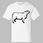 Short Sleeve T-Shirt Thumbnail