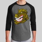 Colorblock Raglan Jersey Thumbnail