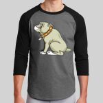 Colorblock Raglan Jersey Thumbnail