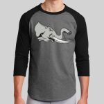 Colorblock Raglan Jersey Thumbnail