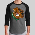 Colorblock Raglan Jersey Thumbnail