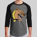 Colorblock Raglan Jersey Thumbnail