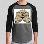 Colorblock Raglan Jersey Thumbnail