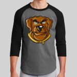 Colorblock Raglan Jersey Thumbnail