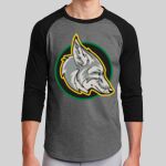 Colorblock Raglan Jersey Thumbnail