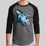 Colorblock Raglan Jersey Thumbnail