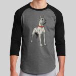 Colorblock Raglan Jersey Thumbnail