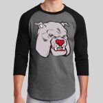 Colorblock Raglan Jersey Thumbnail