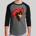 Colorblock Raglan Jersey Thumbnail