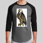 Colorblock Raglan Jersey Thumbnail