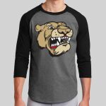 Colorblock Raglan Jersey Thumbnail