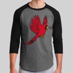 Colorblock Raglan Jersey Thumbnail