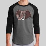 Colorblock Raglan Jersey Thumbnail