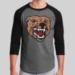 Colorblock Raglan Jersey Thumbnail