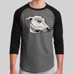 Colorblock Raglan Jersey Thumbnail