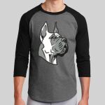 Colorblock Raglan Jersey Thumbnail