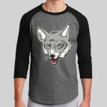 Colorblock Raglan Jersey Thumbnail