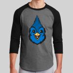 Colorblock Raglan Jersey Thumbnail