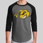 Colorblock Raglan Jersey Thumbnail