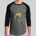 Colorblock Raglan Jersey Thumbnail