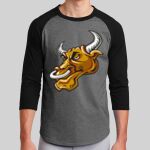 Colorblock Raglan Jersey Thumbnail