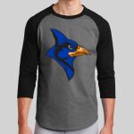 Colorblock Raglan Jersey Thumbnail