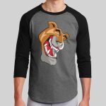 Colorblock Raglan Jersey Thumbnail