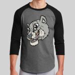 Colorblock Raglan Jersey Thumbnail