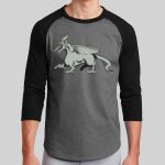 Colorblock Raglan Jersey Thumbnail