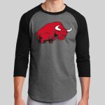 Colorblock Raglan Jersey Thumbnail