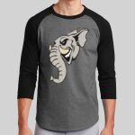 Colorblock Raglan Jersey Thumbnail