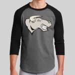 Colorblock Raglan Jersey Thumbnail