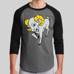 Colorblock Raglan Jersey Thumbnail