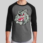 Colorblock Raglan Jersey Thumbnail