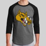 Colorblock Raglan Jersey Thumbnail