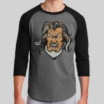 Colorblock Raglan Jersey Thumbnail