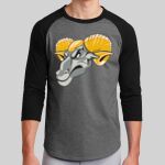 Colorblock Raglan Jersey Thumbnail