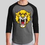 Colorblock Raglan Jersey Thumbnail