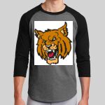 Colorblock Raglan Jersey Thumbnail