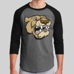 Colorblock Raglan Jersey Thumbnail