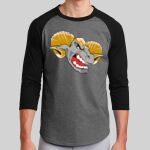 Colorblock Raglan Jersey Thumbnail