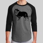 Colorblock Raglan Jersey Thumbnail