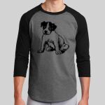 Colorblock Raglan Jersey Thumbnail