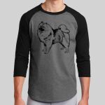 Colorblock Raglan Jersey Thumbnail